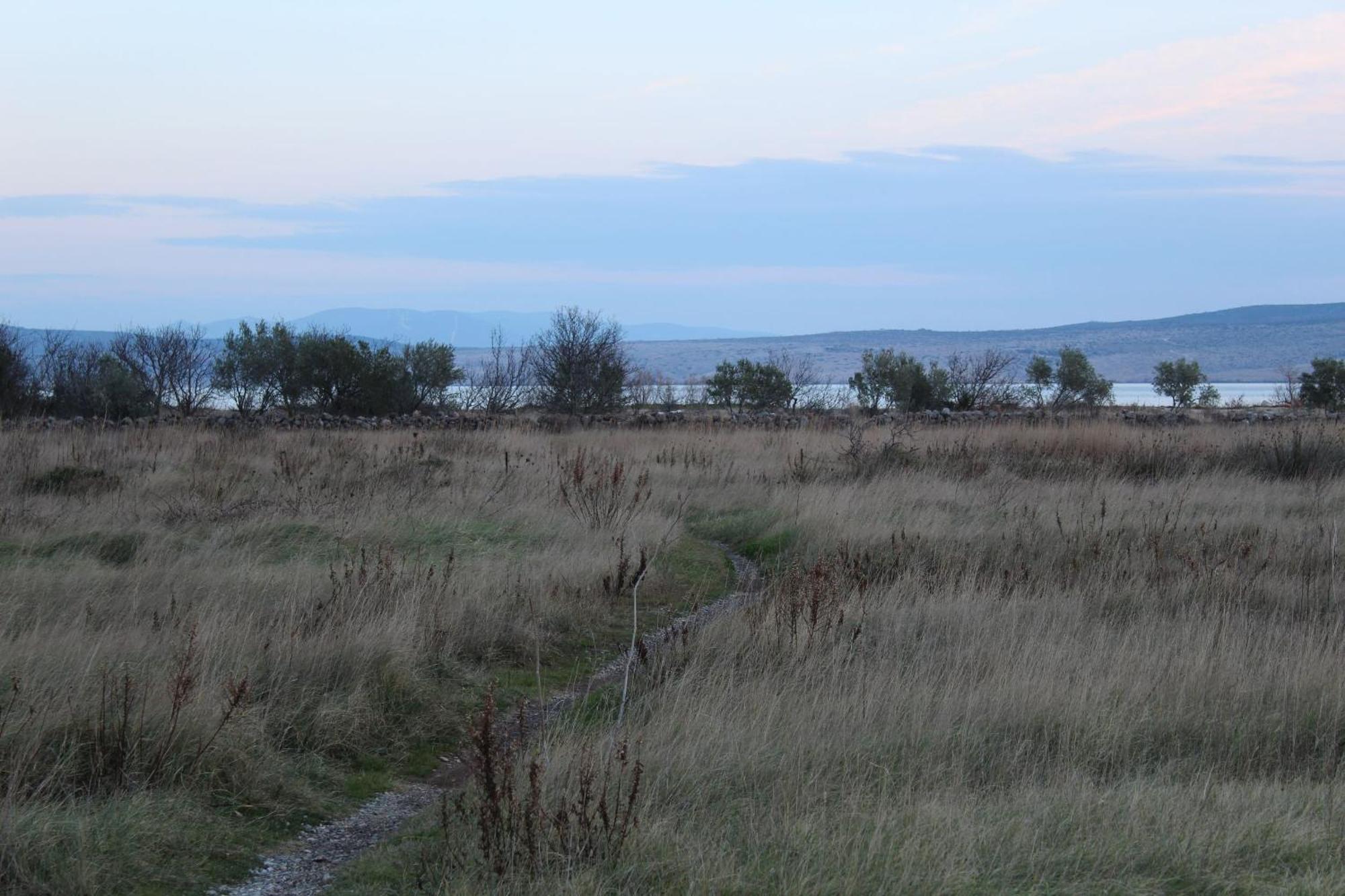 Starigrad House别墅 外观 照片